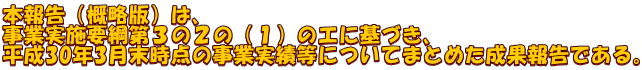 本報告（概略版）は、 事業実施要綱第３の２の（１）のエに基づき、 平成30年3月末時点の事業実績等についてまとめた成果報告である。