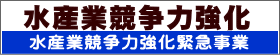 YƋ͋